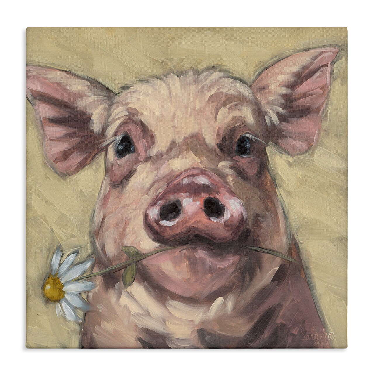Stupell Industries Pig Holding Daisy Sprig Canvas Design by Sara G. Designs
